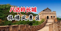 青苹果差羞答答青柠网中国北京-八达岭长城旅游风景区