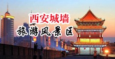 操逼操网中国陕西-西安城墙旅游风景区