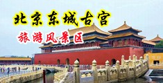 男生❌女生中国北京-东城古宫旅游风景区